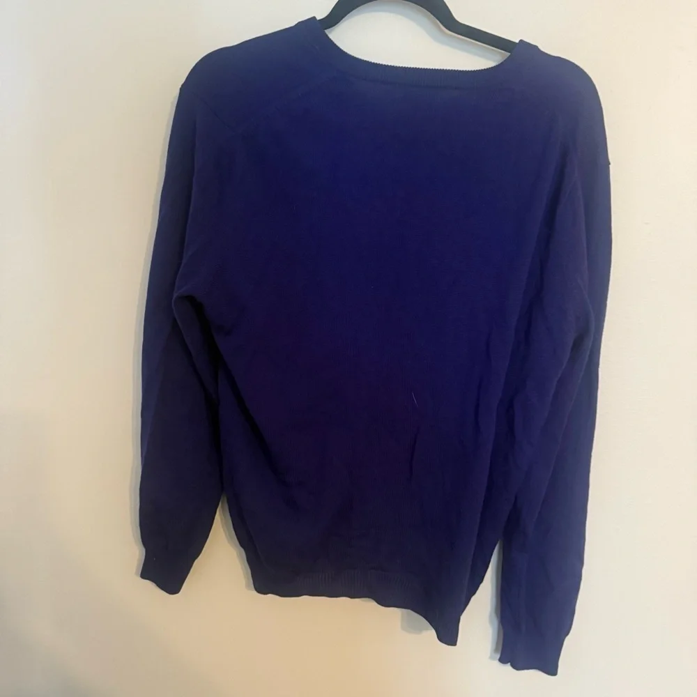Men’s J.Crew Blue Italian Merino Wool V Neck Sweater